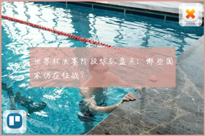 世界杯决赛阶段球队盘点：哪些国家仍在征战？