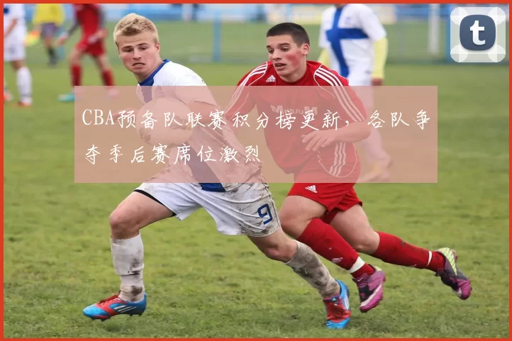 CBA预备队联赛积分榜更新,各队争夺季后赛席位激烈