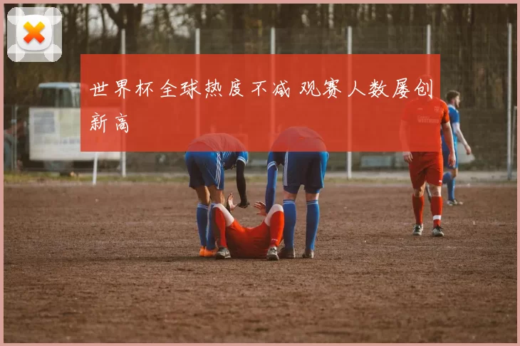 世界杯全球热度不减 观赛人数屡创新高