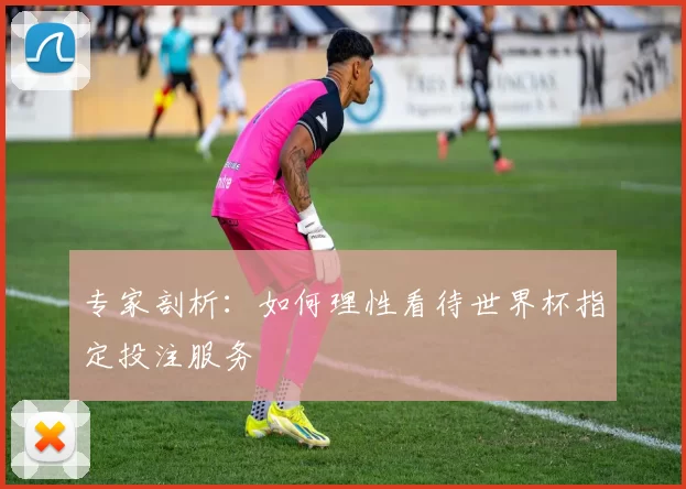 专家剖析：如何理性看待世界杯指定投注服务