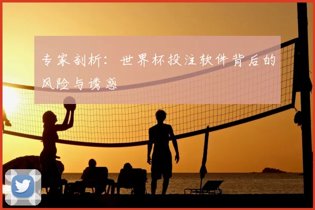 专家剖析：世界杯投注软件背后的风险与诱惑