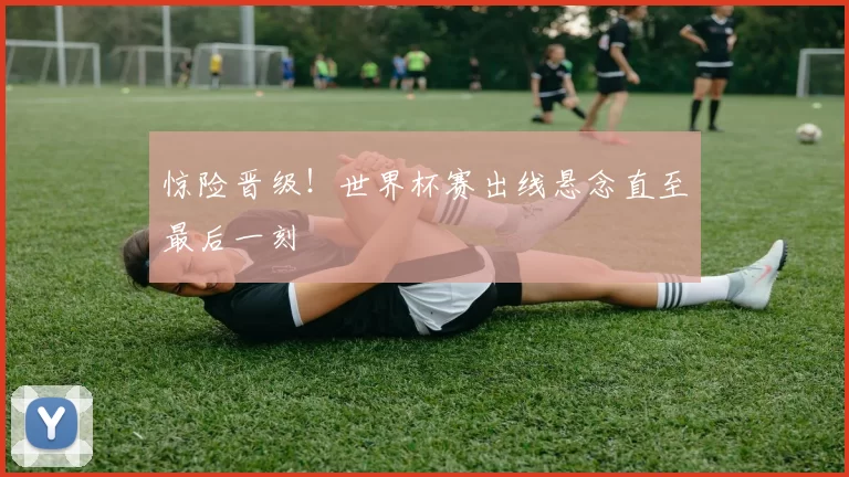 惊险晋级!世界杯赛出线悬念直至最后一刻