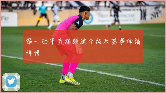 第一西甲直播频道介绍及赛事转播详情