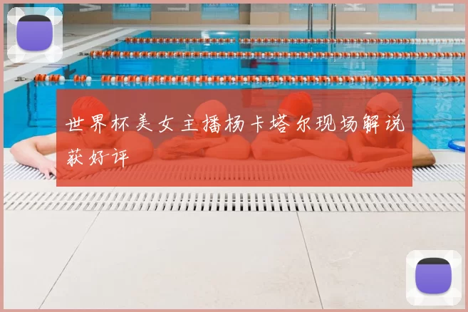 世界杯美女主播杨卡塔尔现场解说获好评