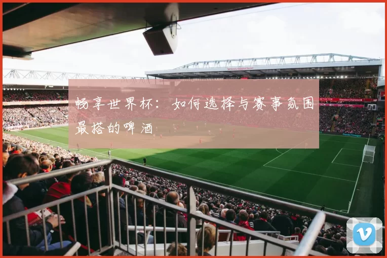 畅享世界杯：如何选择与赛事氛围最搭的啤酒