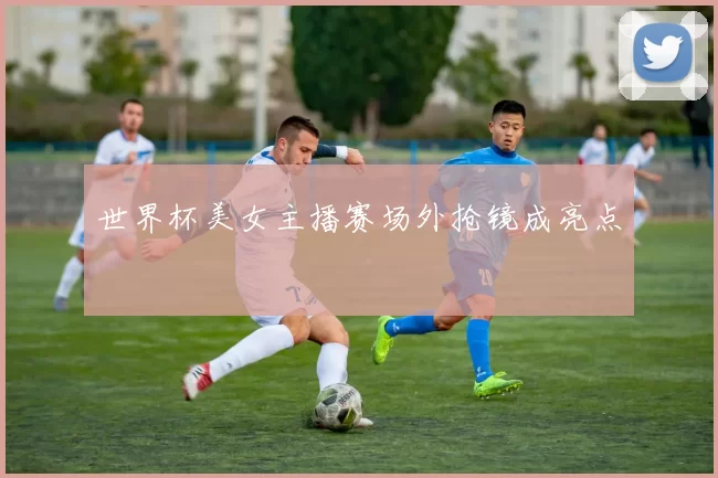 世界杯美女主播赛场外抢镜成亮点