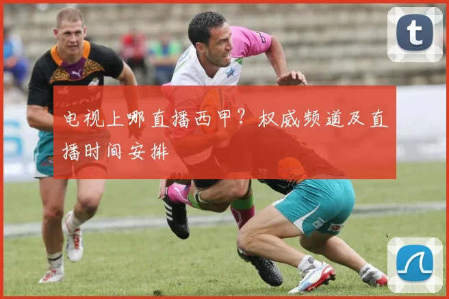 电视上哪直播西甲?权威频道及直播时间安排