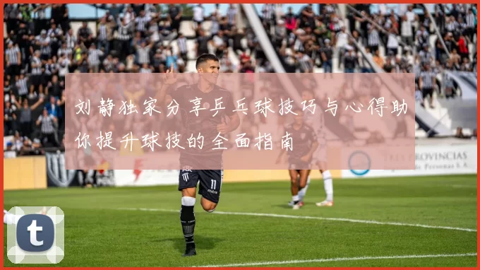 刘静独家分享乒乓球技巧与心得助你提升球技的全面指南