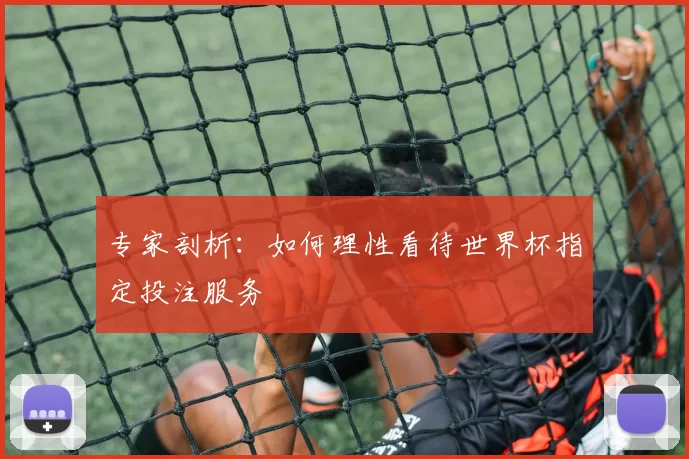 专家剖析:如何理性看待世界杯指定投注服务