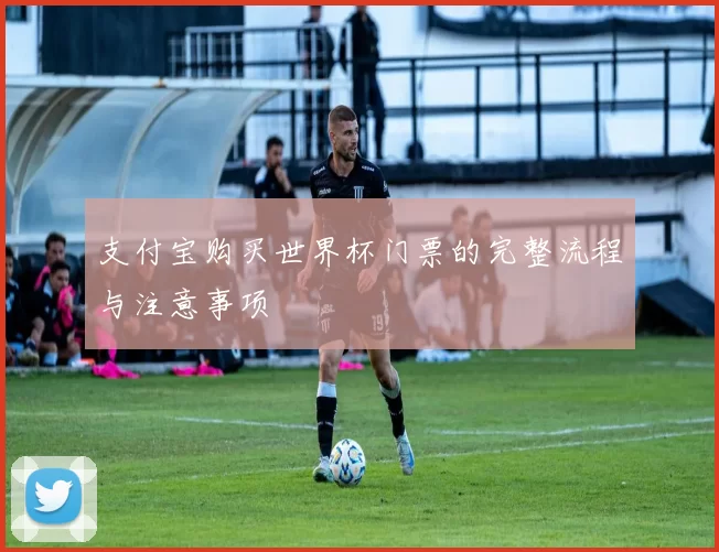 支付宝购买世界杯门票的完整流程与注意事项