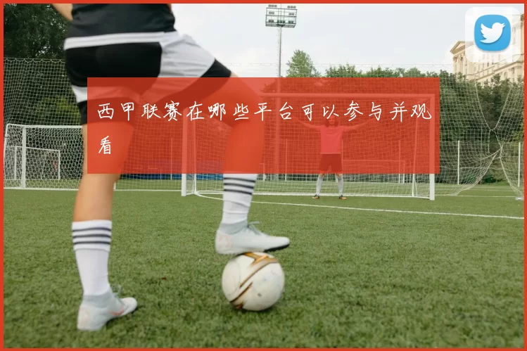西甲联赛在哪些平台可以参与并观看