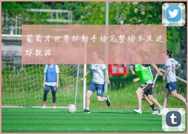 葡萄牙世界杯射手榜完整榜单及进球数据