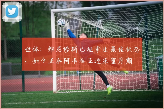 世体:维尼修斯已经拿出最佳状态,如今正和阿韦洛亚迎来蜜月期