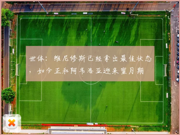 世体:维尼修斯已经拿出最佳状态,如今正和阿韦洛亚迎来蜜月期