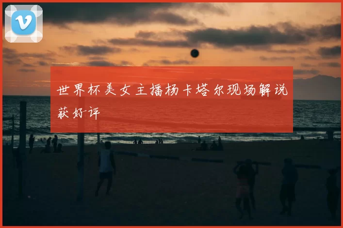 世界杯美女主播杨卡塔尔现场解说获好评