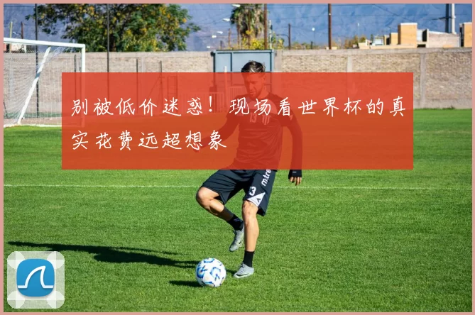 别被低价迷惑!现场看世界杯的真实花费远超想象