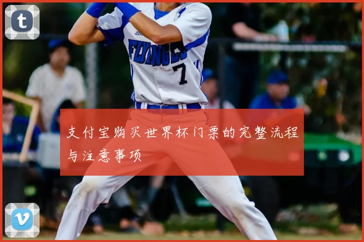 支付宝购买世界杯门票的完整流程与注意事项