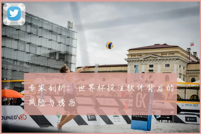 专家剖析:世界杯投注软件背后的风险与诱惑
