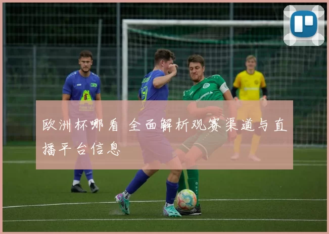欧洲杯哪看 全面解析观赛渠道与直播平台信息