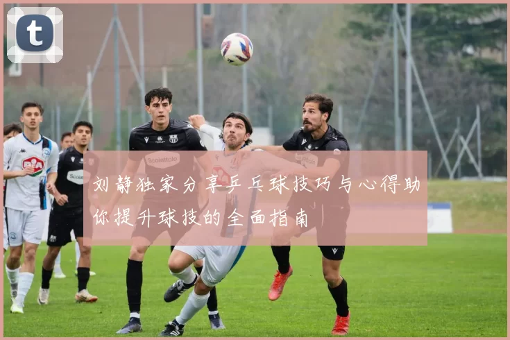 刘静独家分享乒乓球技巧与心得助你提升球技的全面指南
