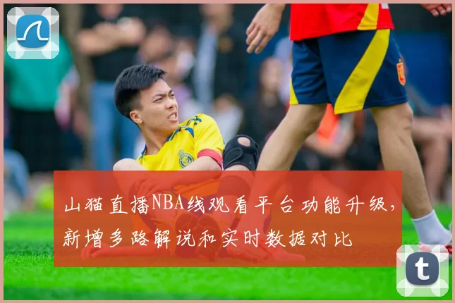 山猫直播NBA线观看平台功能升级,新增多路解说和实时数据对比