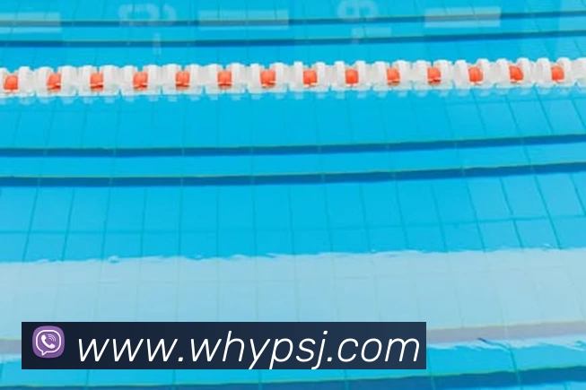 华体会手机网页版平台生态图