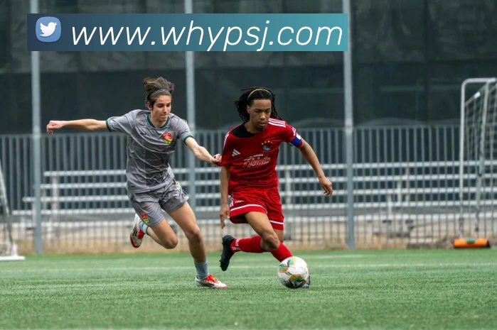 华体会手机网页版APP 封面图